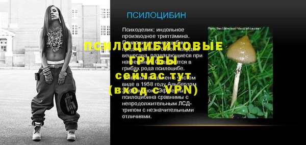 кристаллы Белокуриха