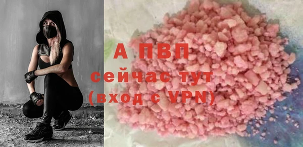 амф Богданович